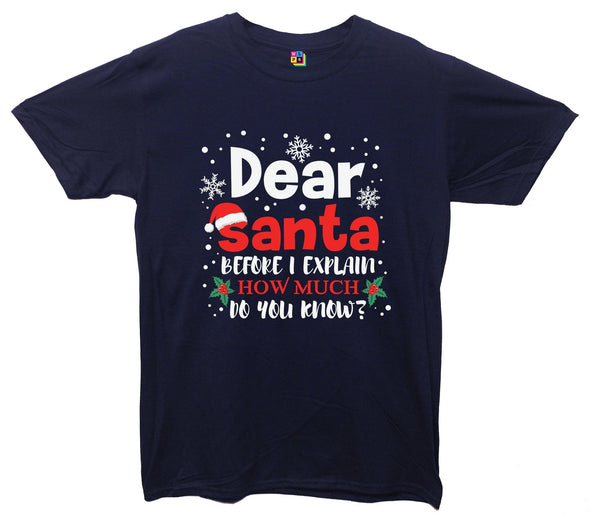 Dear Santa, How Much Do You Already Know? Printed T-Shirt - Mr Wings Emporium 